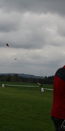 2013 Svojek Mirek Topinka